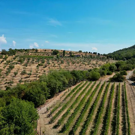 Tenuta Angelici Winery Henni With Pool Sauna And Jacuzzi *
