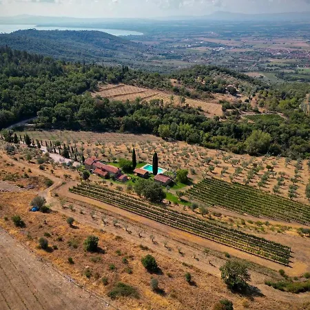 Tenuta Angelici Winery Henni With Pool Sauna And Jacuzzi וילה