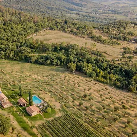 Villa Tenuta Angelici Winery Henni With Pool Sauna And Jacuzzi *