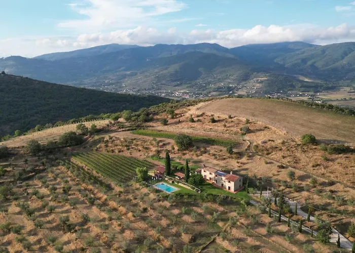 Tenuta Angelici Winery Henni With Pool Sauna And Jacuzzi Cortona