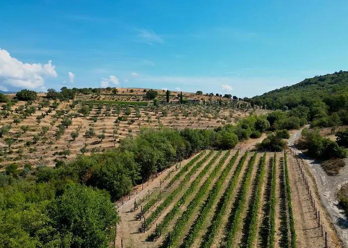 Tenuta Angelici Winery Henni With Pool Sauna And Jacuzzi *